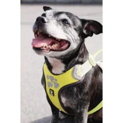 Hurtta Weekend Warrior Geschirr 28 Hurtta Weekend Warrior Geschirr -Haustierprodukte hurtta weekend warrior harness 189093 0500 none
