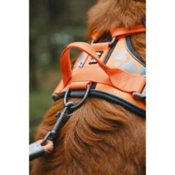 Hurtta Weekend Warrior Geschirr 23 Hurtta Weekend Warrior Geschirr -Haustierprodukte hurtta weekend warrior harness 189096 0500 none