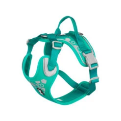 Hurtta Weekend Warrior Geschirr 18 Hurtta Weekend Warrior Geschirr -Haustierprodukte hurtta weekend warrior harness 203807 0500 none