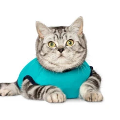 Jacketz Medical Body Suit Für Katzen 11 Jacketz Medical Body Suit Für Katzen -Haustierprodukte jacketz medical body suit kat 209783 0500 none