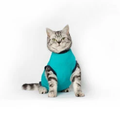 Jacketz Medical Body Suit Für Katzen 10 Jacketz Medical Body Suit Für Katzen -Haustierprodukte jacketz medical body suit kat 209789 0500 none