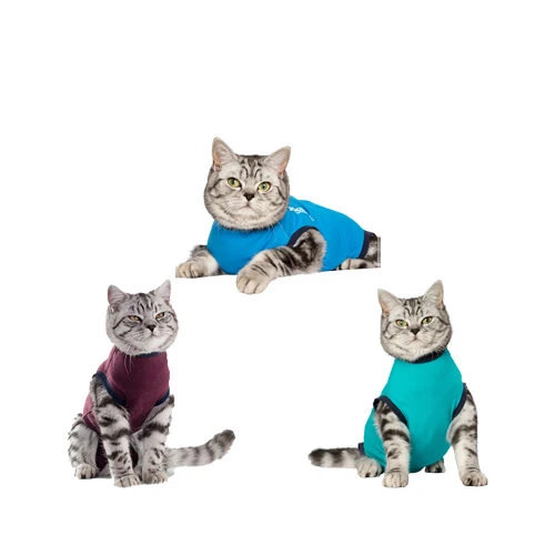 Jacketz Medical Body Suit Für Katzen 1 Jacketz Medical Body Suit Für Katzen