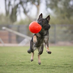 Jolly Soccer Ball -Haustierprodukte jolly soccer ball 162241 0500 none