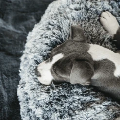 Kentucky Dogwear - Comfort Donut-Hundekorb 9 Kentucky Dogwear - Comfort Donut-Hundekorb -Haustierprodukte kentucky dogwear comfort donut hondenmand 219723 0500 none