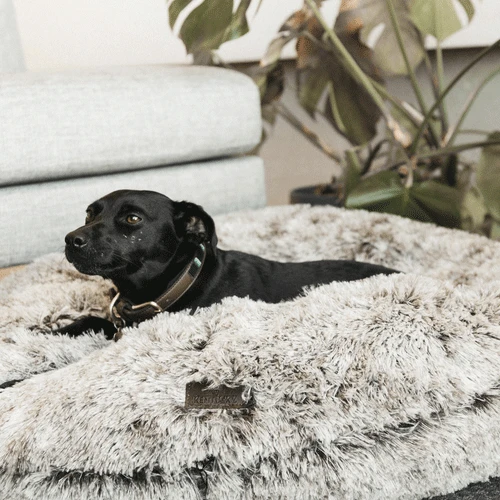 Kentucky Dogwear - Comfort Donut-Hundekorb 2 Kentucky Dogwear - Comfort Donut-Hundekorb – Bild 2