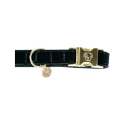 Kentucky Dogwear Corduroy Hundehalsband 14 Kentucky Dogwear Corduroy Hundehalsband -Haustierprodukte kentucky dogwear corduroy hondenhalsband 219195 0500 none