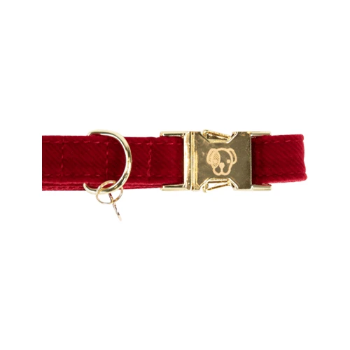 Kentucky Dogwear Corduroy Hundehalsband 6 Kentucky Dogwear Corduroy Hundehalsband – Bild 6