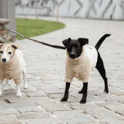 Kentucky Dogwear Hundejacke Teddy Fleece -Haustierprodukte kentucky dogwear hondenjas teddy fleece 219186 0500 none