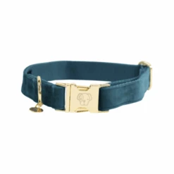 Kentucky Dogwear Velvet Hundehalsband -Haustierprodukte kentucky dogwear velvet hondenhalsband 219231 0500 none