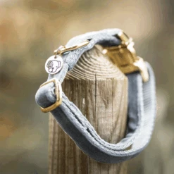 Kentucky Dogwear Velvet Hundehalsband -Haustierprodukte kentucky dogwear velvet hondenhalsband 219236 0500 none