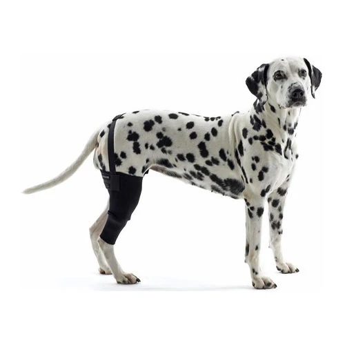 Kruuse Rehab Knieschutz 1 Kruuse Rehab Knieschutz