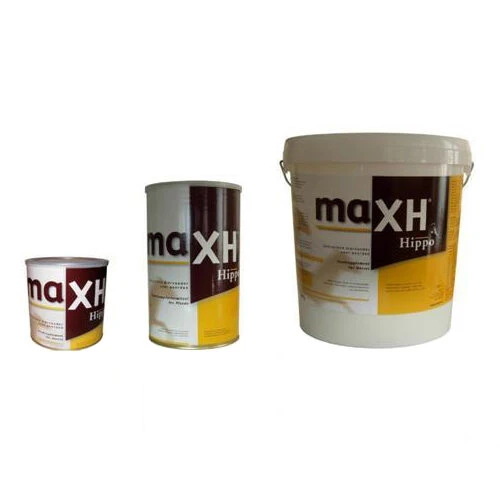 MaxH Hippo 1 MaxH Hippo