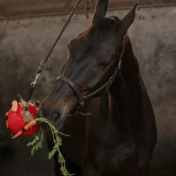 Maximus Fun Play Ball Für Pferde -Haustierprodukte maximus fun play ball voor paarden 207833 0500 none