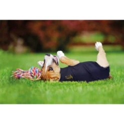 Medical Pet Shirt Hund -Haustierprodukte medical pet shirt hond 149981 0500 none