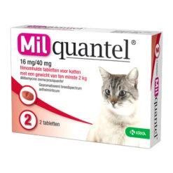 Milquantel Katze -Haustierprodukte milquantel kat 112607 0500 none