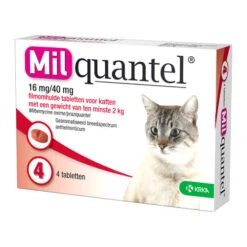 Milquantel Katze -Haustierprodukte milquantel kat 112610 0500 none