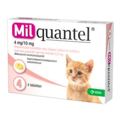 Milquantel Katze -Haustierprodukte milquantel kat 112619 0500 none