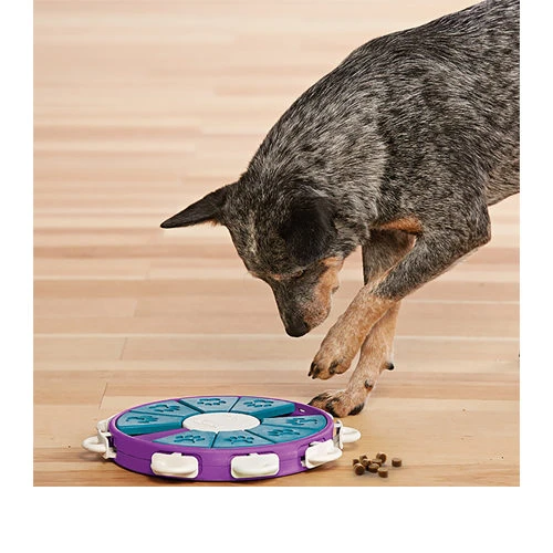 Nina Ottosson Dog Twister 3 Nina Ottosson Dog Twister – Bild 3