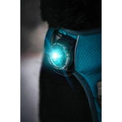 Orbiloc Dog Dual Safety Light -Haustierprodukte orbiloc led veiligheidslamp 188103 0500 none