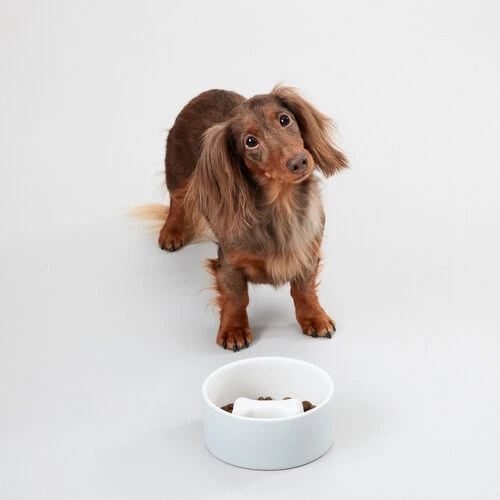 PAIKKA Slow Feed Bowl 7 PAIKKA Slow Feed Bowl – Bild 7