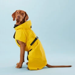 PAIKKA Visibility Raincoat Lite Yellow 8 PAIKKA Visibility Raincoat Lite Yellow -Haustierprodukte paikka visibility raincoat lite yellow 217726 0500 none