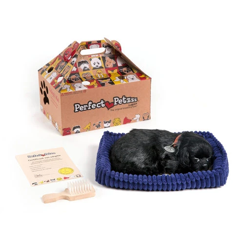 Perfect Petzzz Soft Schwarzer Labrador 1 Perfect Petzzz Soft Schwarzer Labrador