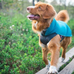 Pomppa Jumppa -Haustierprodukte pomppa jumppa 190573 0500 none