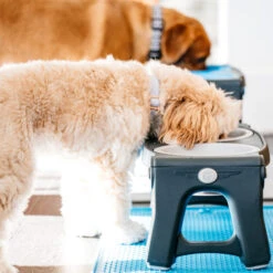 Popware Adjustable Height Pet Feeder 15 Popware Adjustable Height Pet Feeder -Haustierprodukte popware adjustable height pet feeder 164587 0500 none