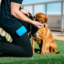 Popware Pooch Pouch Treatbag -Haustierprodukte popware pooch pouch treatbag 164698 0500 none