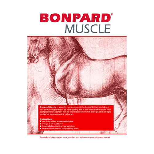 Bonpard Muscle 1 Bonpard Muscle