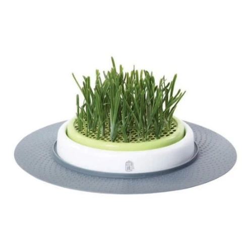 Catit Senses Katzengrassamenset 1 Catit Senses Katzengrassamenset