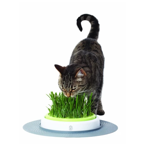 Catit Senses Katzengrassamenset 3 Catit Senses Katzengrassamenset – Bild 3