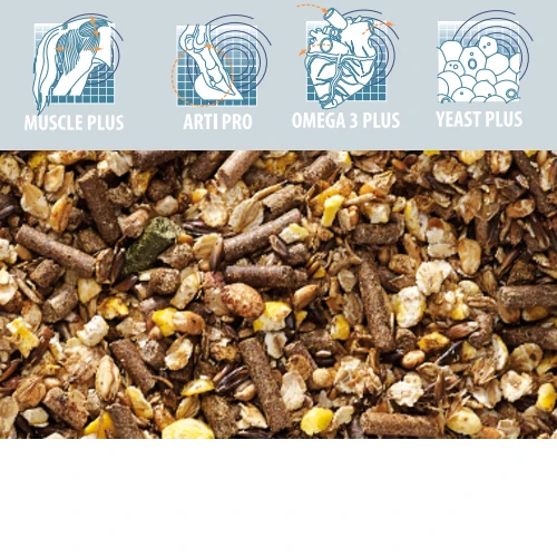 Cavalor Perfomix 2 Cavalor Perfomix – Bild 2