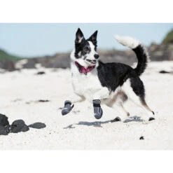 Hurtta Hundeschuhe Outback -Haustierprodukte product hurtta outback boots none 4 1478786124 80266