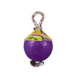 Jolly Ball Mit Strick 11 Jolly Ball Mit Strick -Haustierprodukte product jolly romp n roll none 4 1468850147 71422