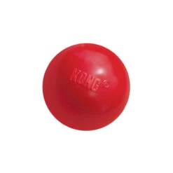 KONG Ball 9 KONG Ball -Haustierprodukte product kong ball none 4 1466058813 69918
