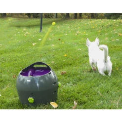 PetSafe Automatischer Ballwerfer -Haustierprodukte product petsafe ball launcher none 4 1472637635 77137