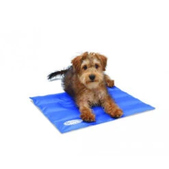 Scruffs Cooling Mat 7 Scruffs Cooling Mat -Haustierprodukte product scruffs cooling mat none 4 1472200006 76957