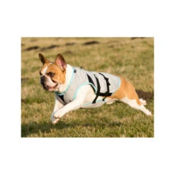 Suitical DRY Cooling Vest 11 Suitical DRY Cooling Vest -Haustierprodukte product suitical dry cooling vest none 4 1487841928 83767