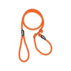 Rebel Petz Trainingsleine 7 Rebel Petz Trainingsleine -Haustierprodukte rebel petz trainingslijn 102757 0500 none