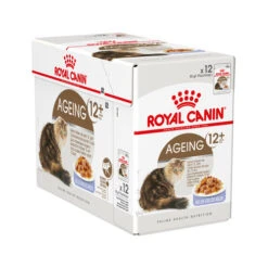 Royal Canin Ageing 12+ In Jelly - Katzenfutter -Haustierprodukte royal canin ageing 12 in jelly 114191 0500 none