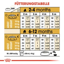 Royal Canin Bulldog Puppy - Hundefutter 14 Royal Canin Bulldog Puppy - Hundefutter -Haustierprodukte royal canin bulldog puppy hondenvoer 137776 0500 none