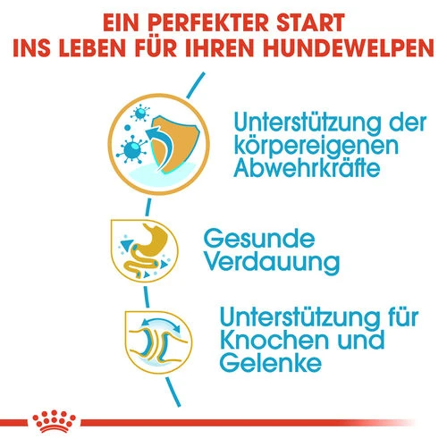 Royal Canin Bulldog Puppy - Hundefutter 2 Royal Canin Bulldog Puppy - Hundefutter – Bild 2