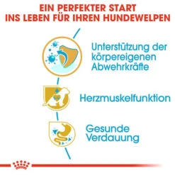 Royal Canin Cavalier King Charles Puppy - Hundefutter -Haustierprodukte royal canin cavalier king charles puppy hondenvoer 137923 0500 none