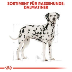 Royal Canin Dalmatian Adult - Hundefutter -Haustierprodukte royal canin dalmatian adult hondenvoer 138499 0500 none
