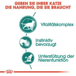 Royal Canin Instinctive 7+ In Gravy - Katzenfutter -Haustierprodukte royal canin instinctive 7 in gravy kattenvoer 127868 0500 none