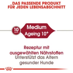 Royal Canin Medium Ageing 10+ - Hundefutter 11 Royal Canin Medium Ageing 10+ - Hundefutter -Haustierprodukte royal canin medium ageing 10 hondenvoer 128810 0500 none