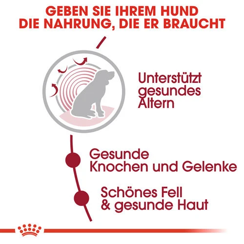 Royal Canin Medium Ageing 10+ - Hundefutter 3 Royal Canin Medium Ageing 10+ - Hundefutter – Bild 3