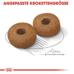 Royal Canin Medium Ageing 10+ - Hundefutter 12 Royal Canin Medium Ageing 10+ - Hundefutter -Haustierprodukte royal canin medium ageing 10 hondenvoer 128822 0500 none