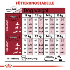 Royal Canin Medium Ageing 10+ - Hundefutter 15 Royal Canin Medium Ageing 10+ - Hundefutter -Haustierprodukte royal canin medium ageing 10 hondenvoer 128831 0500 none